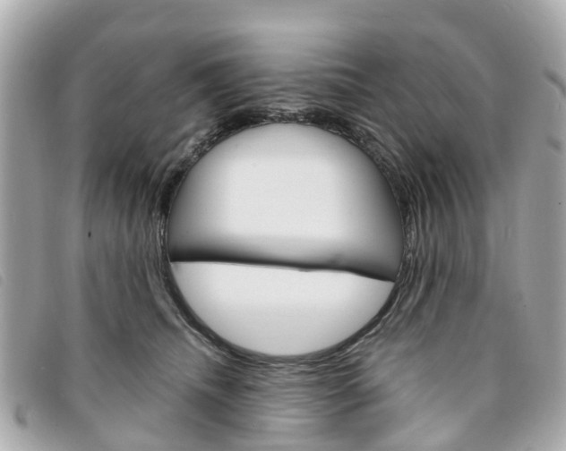 X0000094220468200710260957