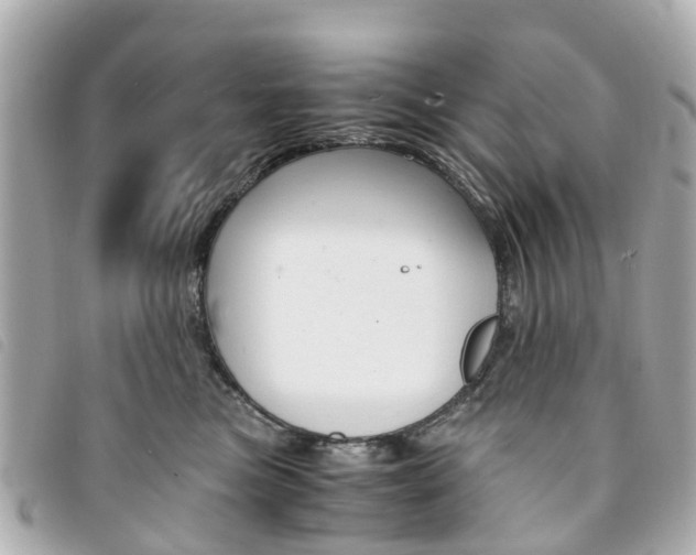 X0000094220473200710260957