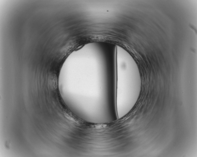 X0000094220474200710260957
