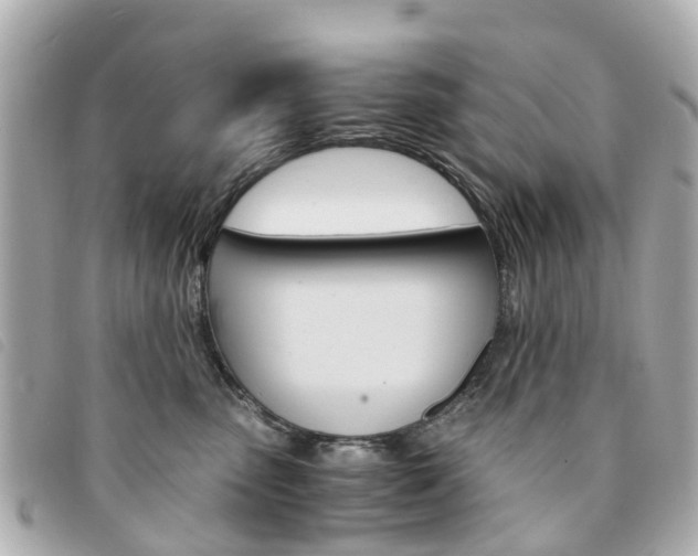 X0000094220475200710260957