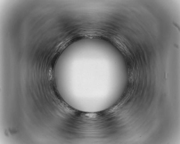 X0000094220478200710260957