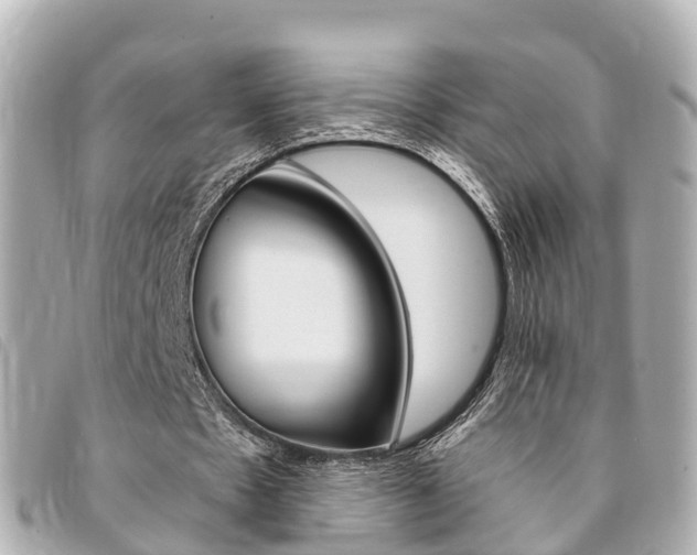 X0000094220481200710260956