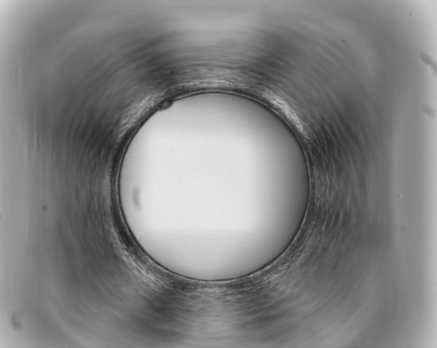 X0000094220482200710260956