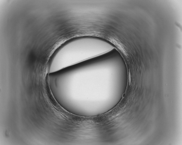 X0000094220483200710260956