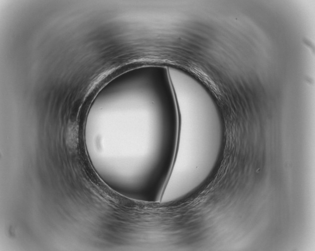 X0000094220484200710260956