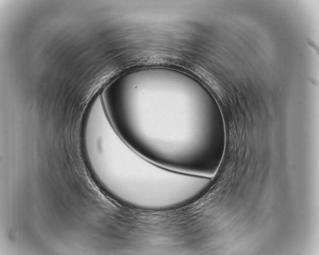 X0000094220485200710260956