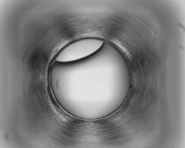 X0000094220486200710260956