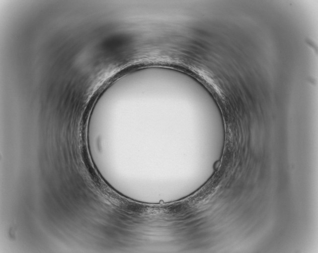 X0000094220487200710260956