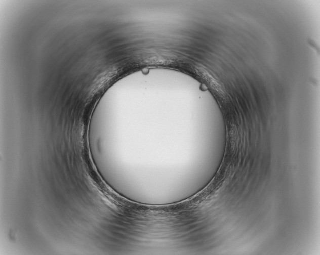 X0000094220490200710260956