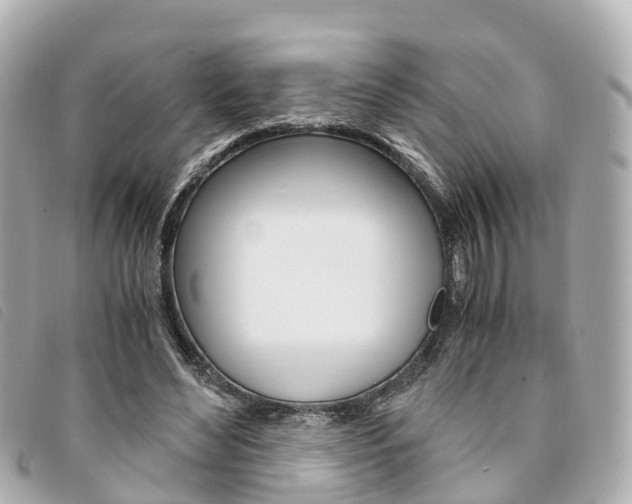 X0000094220492200710260956