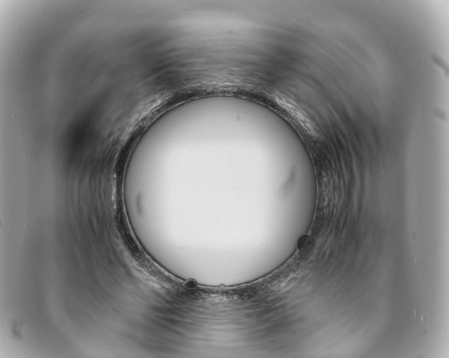 X0000094220494200710260956