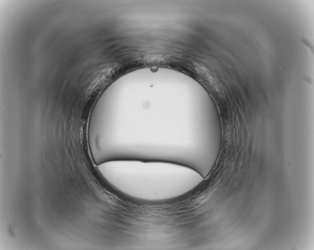 X0000094220495200710260956