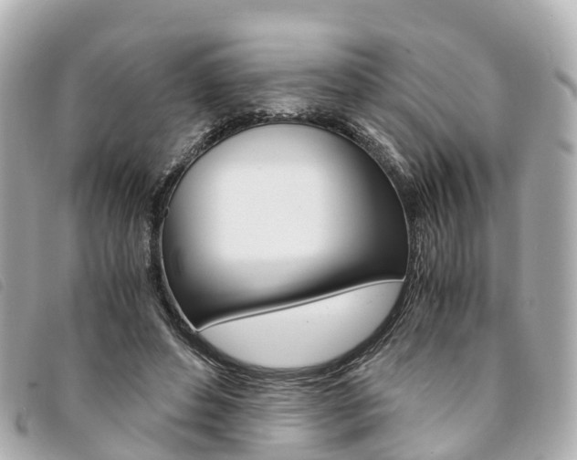 X0000094220496200710260956