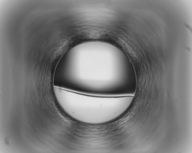 X0000094220497200710260956