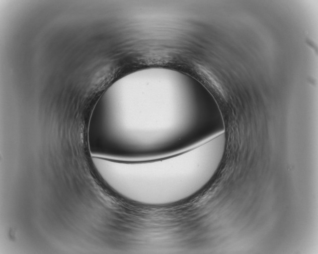 X0000094220501200710260956