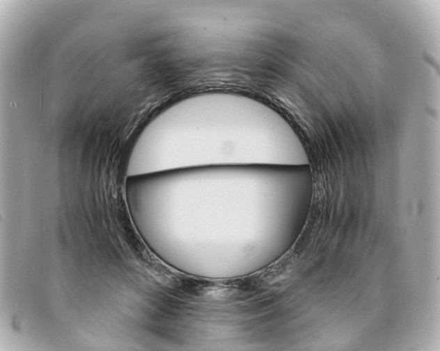 X0000094220504200710260956