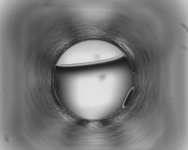 X0000094220505200710260956