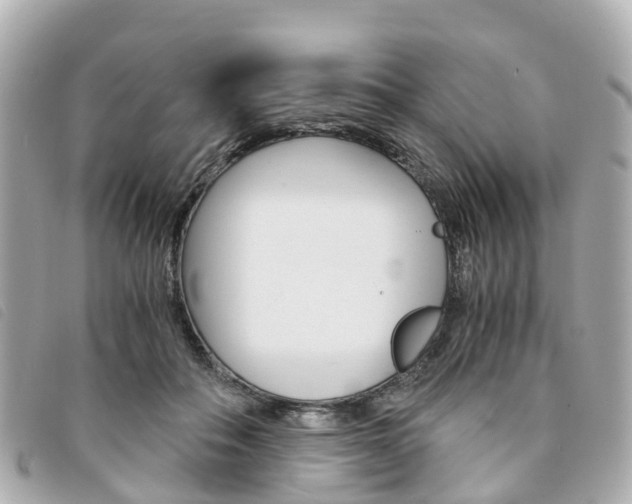 X0000094220506200710260956