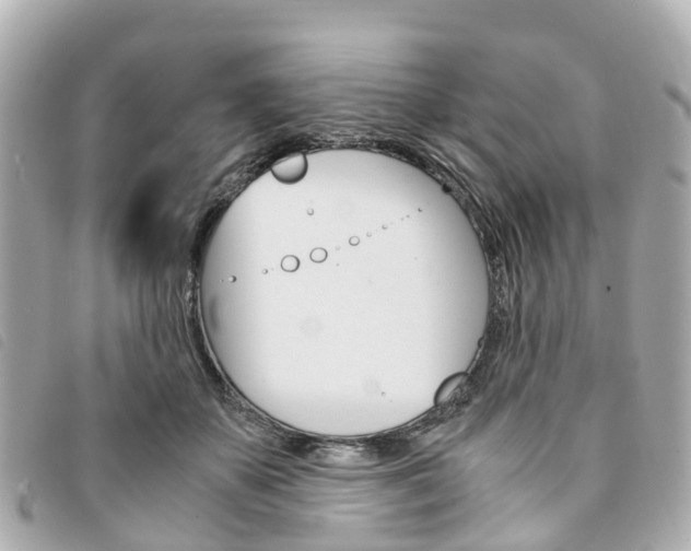 X0000094220507200710260956