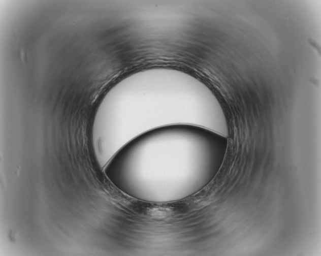 X0000094220508200710260956