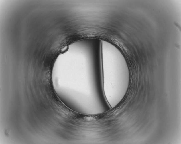 X0000094220509200710260956