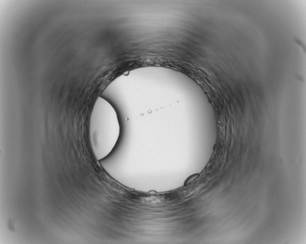 X0000094220511200710260956