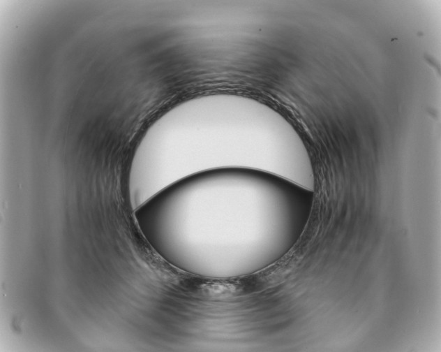 X0000094220512200710260956