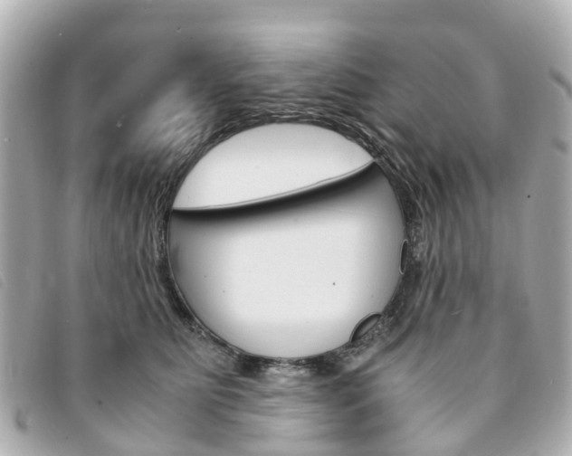 X0000094220515200710260956