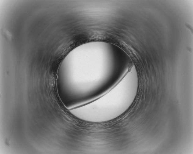 X0000094220517200710260956