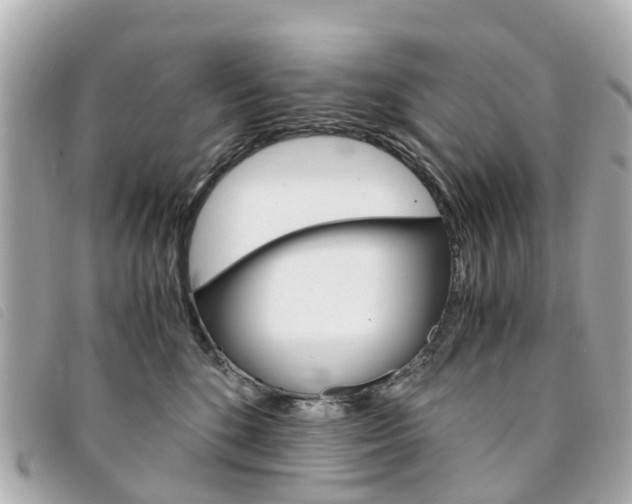 X0000094220520200710260956