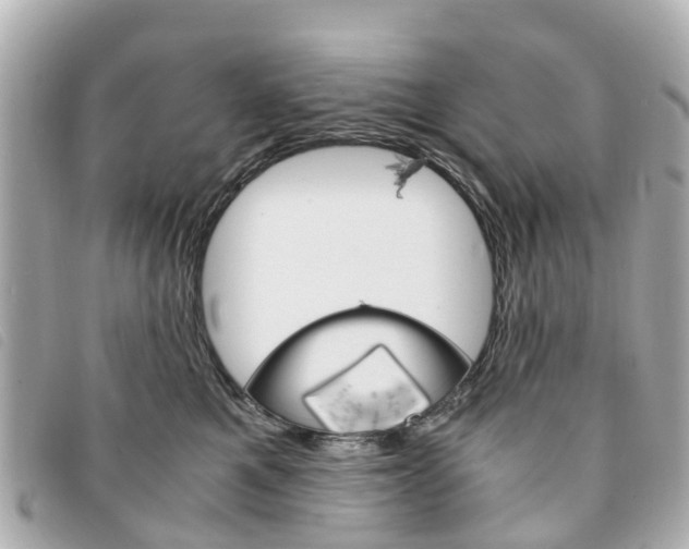 X0000094220521200710260956