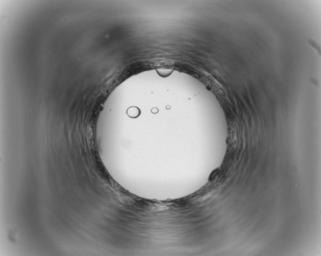 X0000094220523200710260956