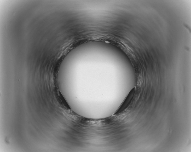 X0000094220524200710260956