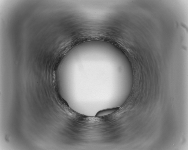 X0000094220528200710260956
