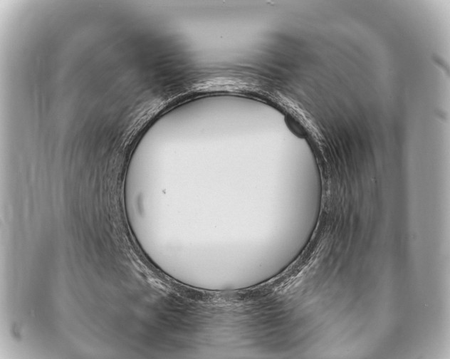 X0000094220529200710260955
