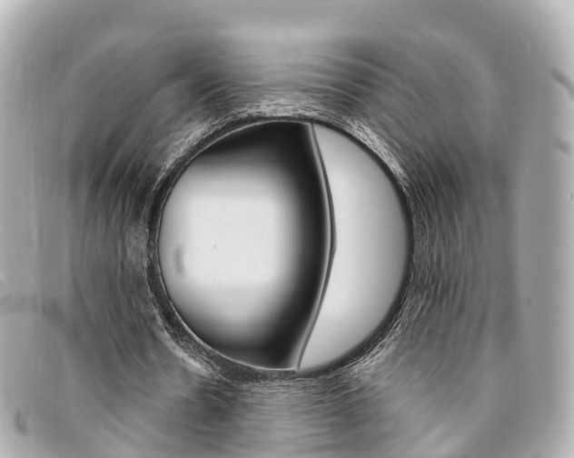 X0000094220530200710260955