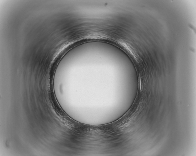 X0000094220531200710260955