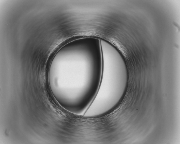 X0000094220532200710260955