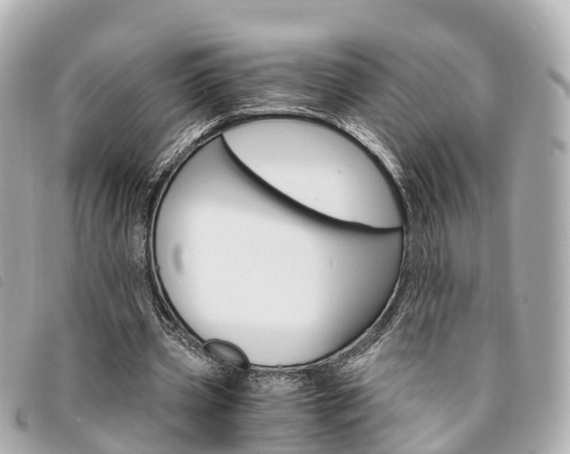 X0000094220533200710260955