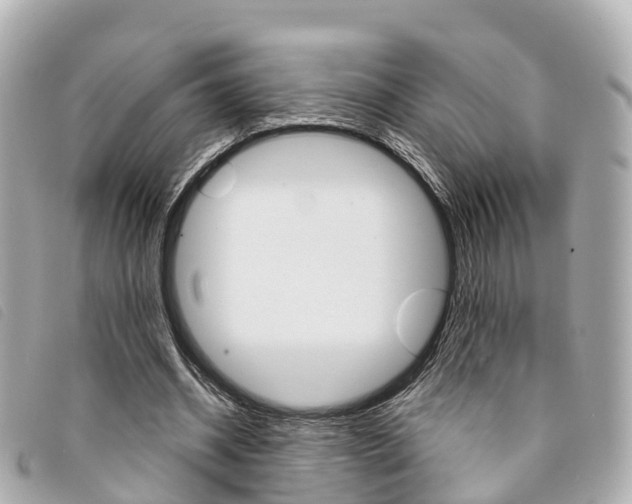 X0000094220534200710260955