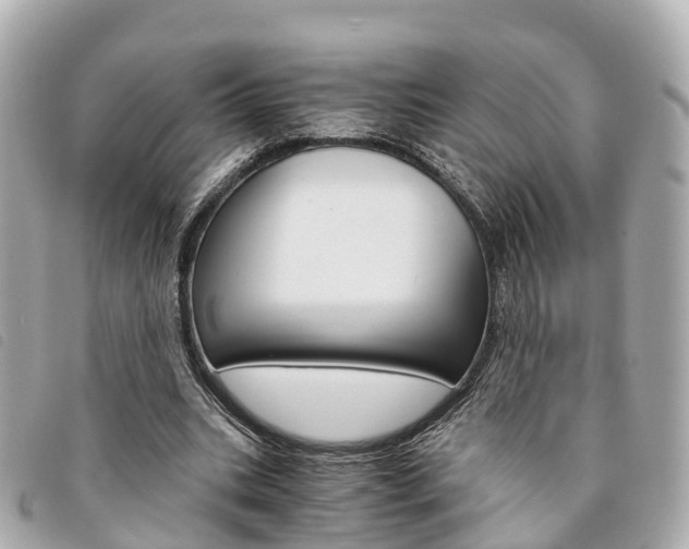 X0000094220535200710260955