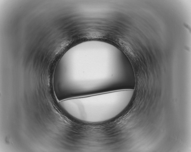 X0000094220539200710260955