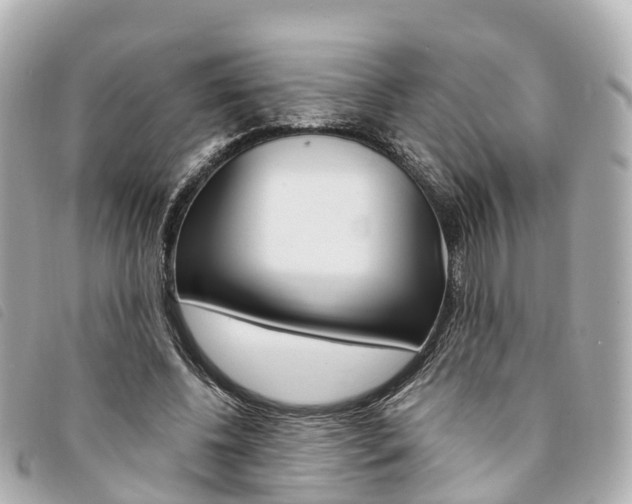X0000094220540200710260955