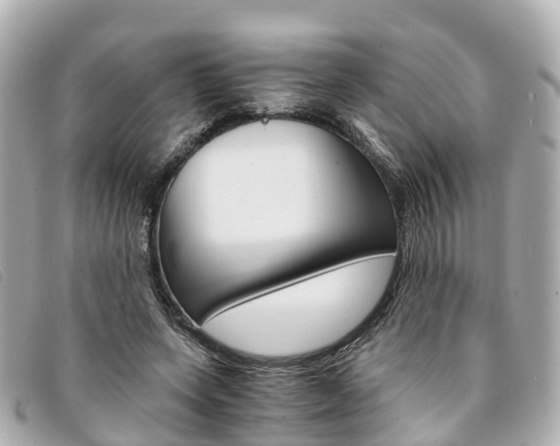 X0000094220543200710260955