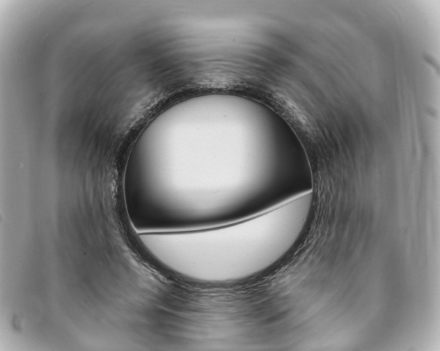 X0000094220544200710260955
