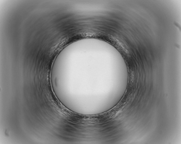 X0000094220545200710260955