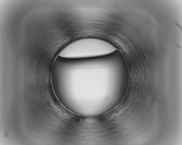 X0000094220546200710260955