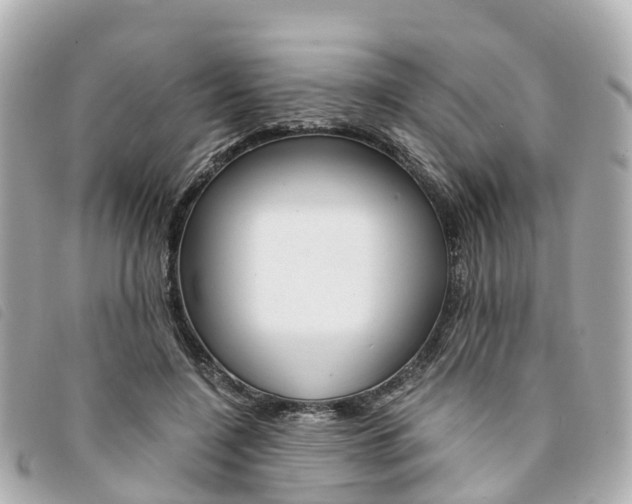 X0000094220548200710260956