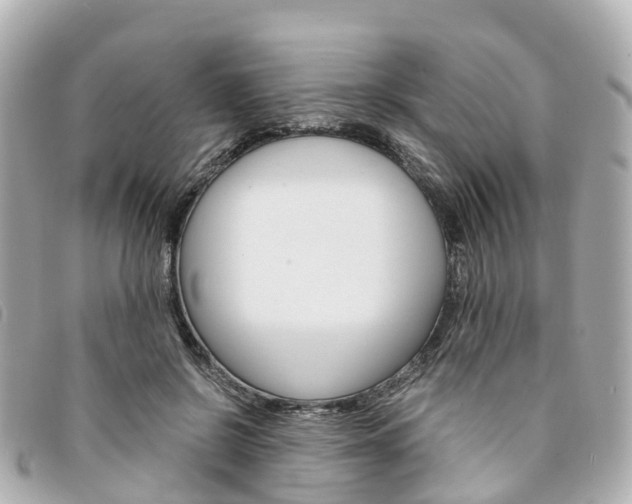 X0000094220550200710260956
