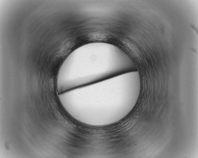 X0000094220551200710260956
